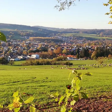 Annettes Apartment Michelstadt