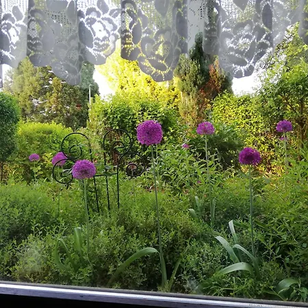 Annettes * Michelstadt