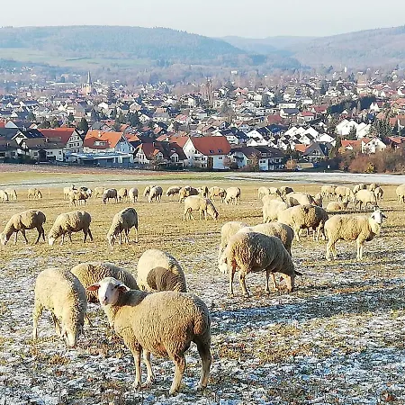 Annettes Michelstadt